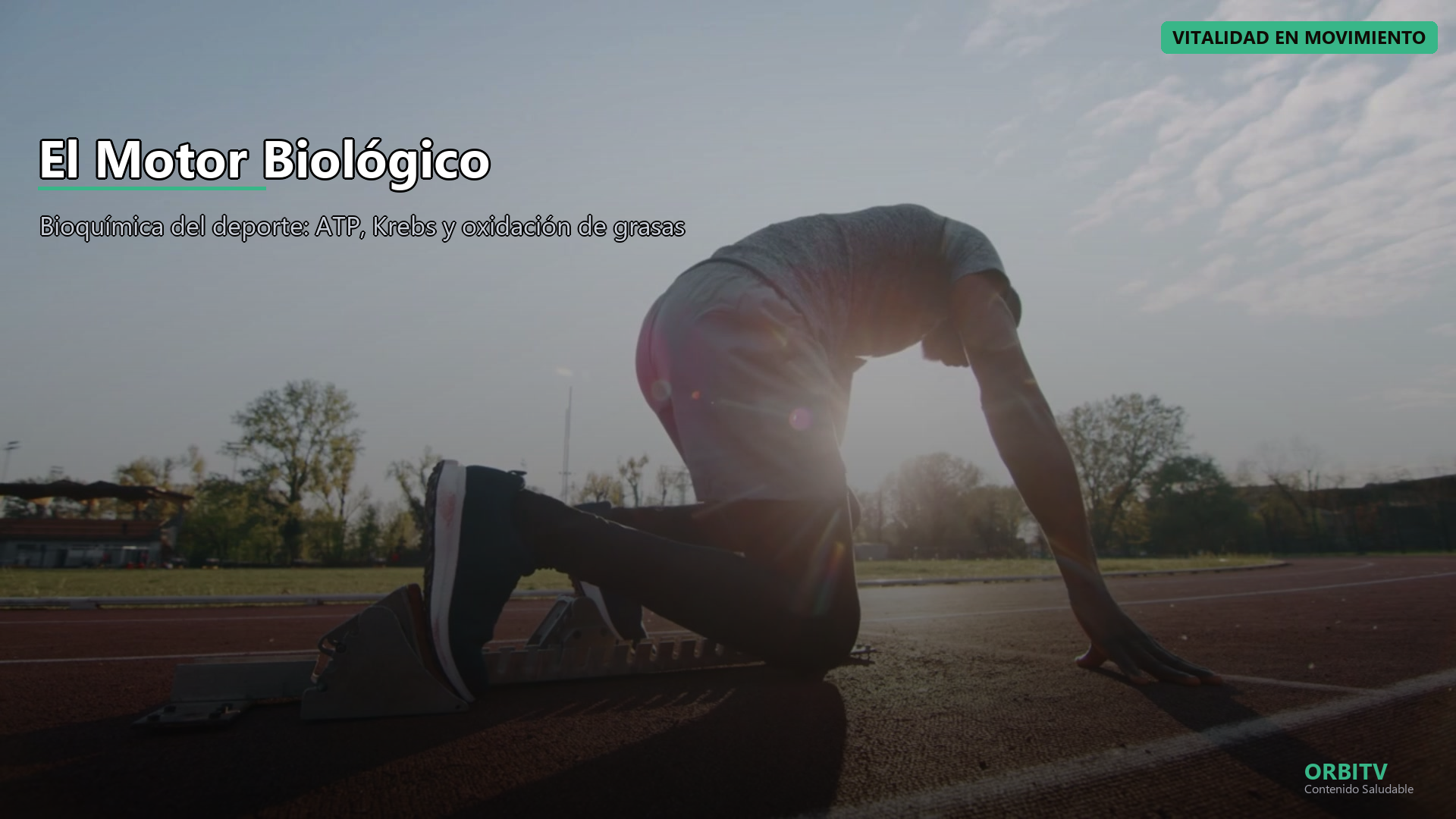 Vida Saludable